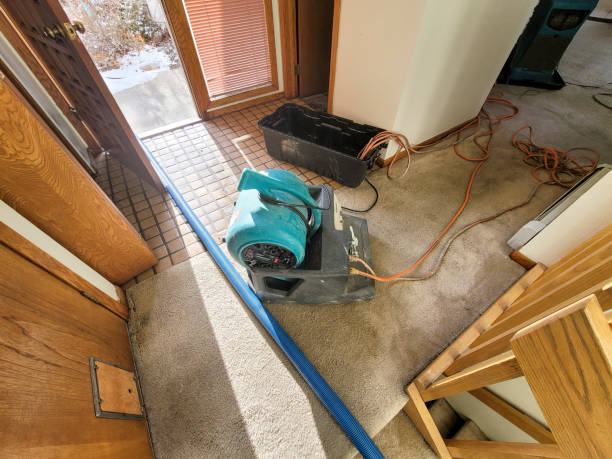  Kingston Estates, NJ Water damage restoration Pros