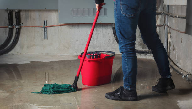 Best Mold removal after water damage  in Kingston Estates, NJ