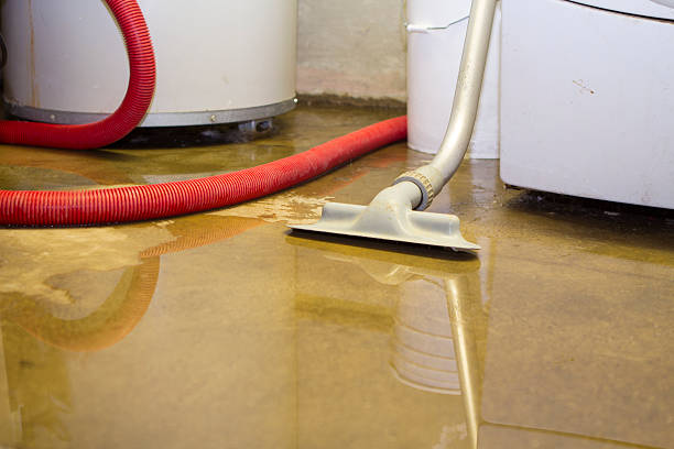 Kingston Estates, NJ Water damage restoration Company
