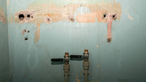Best Residential water damage restoration  in Kingston Estates, NJ