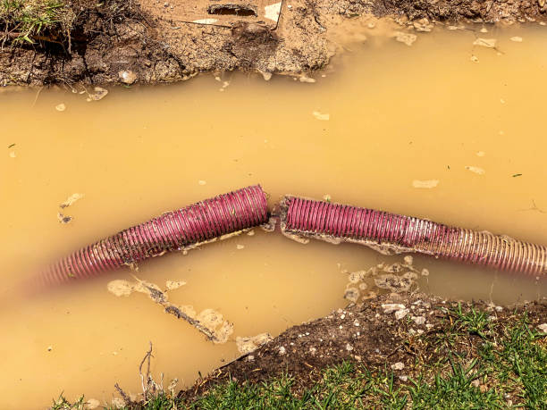 Best Local water damage restoration  in Kingston Estates, NJ