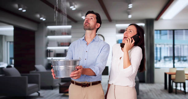 Best Fire Damage Restoration  in Kingston Estates, NJ